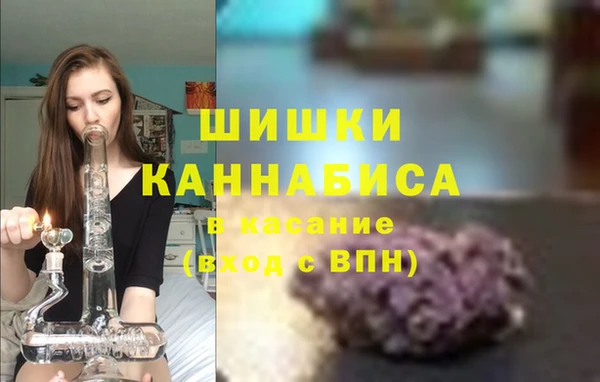 PSILOCYBIN Нефтекумск