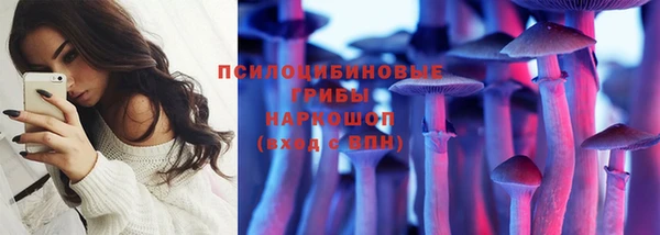 PSILOCYBIN Нефтекумск