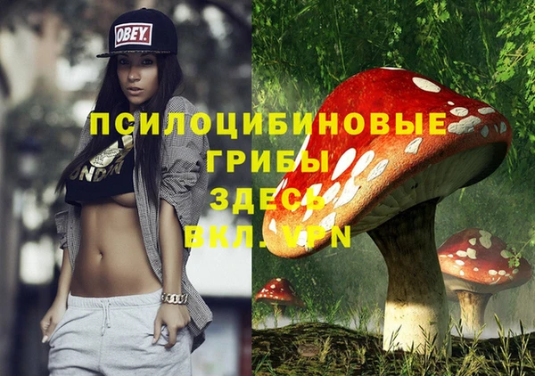 соль ск Фурманов