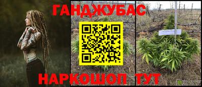 амф Заволжье