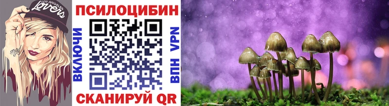Галлюциногенные грибы Psilocybe Котельники