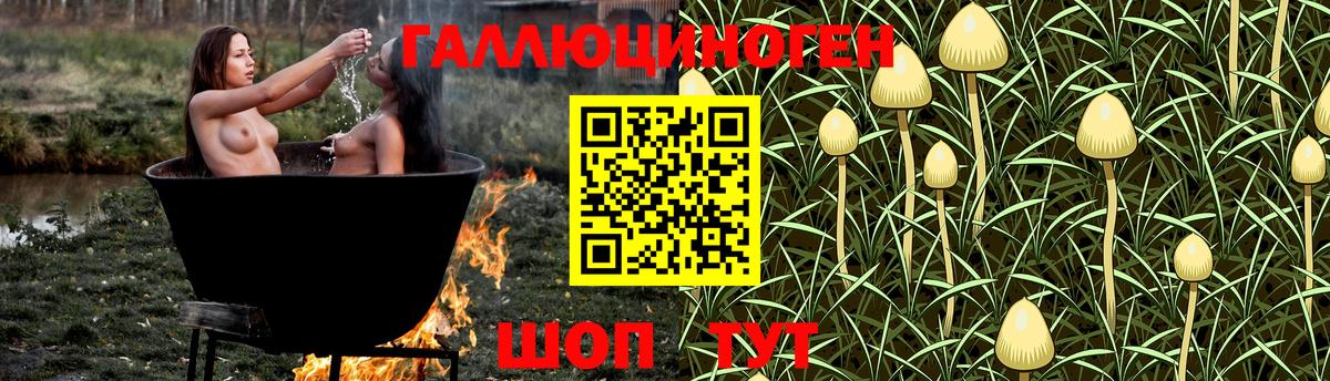 Котельники  Галлюциногенные грибы прущие грибы  Вход с VPN  Псилоцибиновые грибы мухоморы 