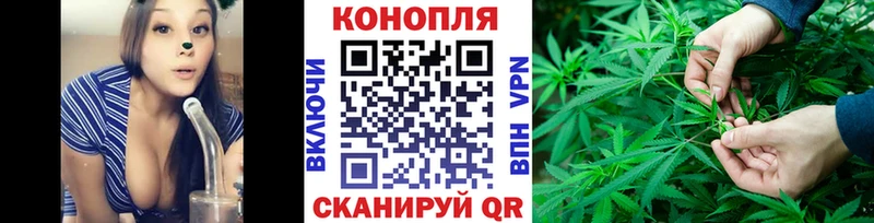 Бошки марихуана планчик  ссылка на мегу ТОР  Котельники 